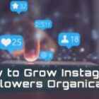 How to Grow Instagram Followers Organically