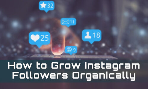 How to Grow Instagram Followers Organically