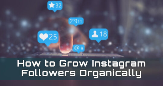 How to Grow Instagram Followers Organically